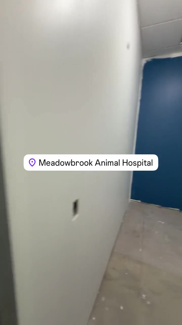 Childress Painting on site at Meadowbrook Animal Hospital, Kansas City